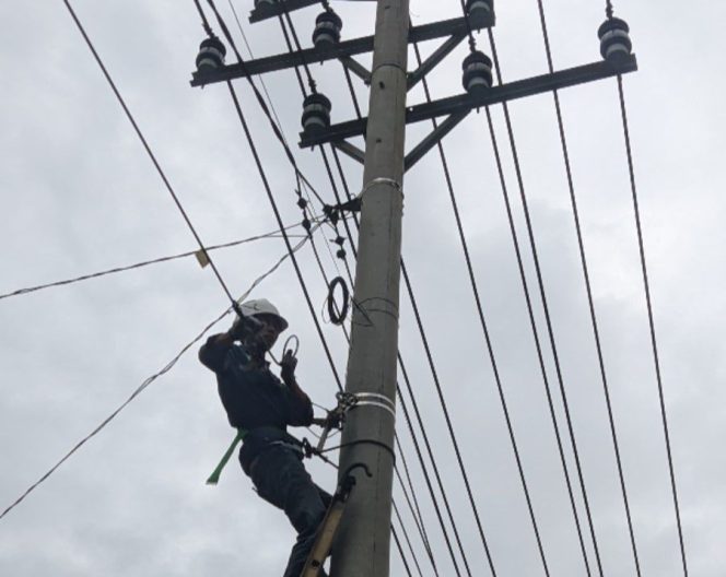 					Jaga Kelancaran Konektivitas, PLN Icon Plus Lakukan Perawatan Kabel Optik Kendari-Moramo