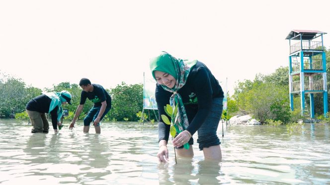 					PLN Icon Plus SBU Sulawesi dan IBT Gelar Aksi Peduli Lingkungan di Hari Lingkungan Hidup Sedunia 2024