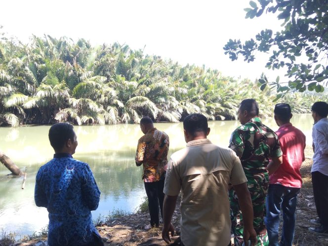 					Buaya Besar Muncul di Sungai Lolisang, Pj Bupati Sinjai Lapor ke BBKSDA Sulsel