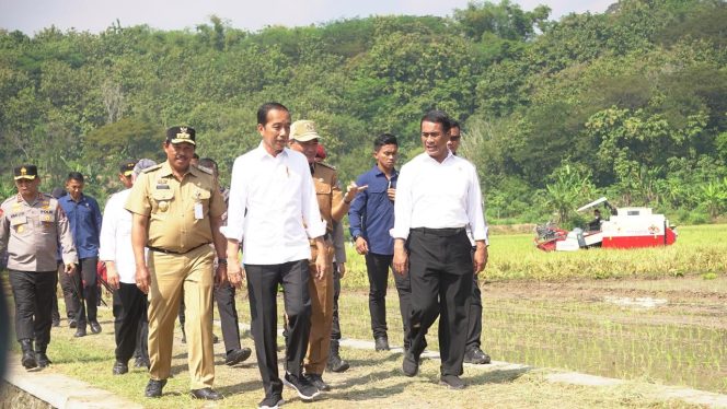 					Presiden Jokowi Didampingi Mentan Andi Amran Tinjau Program Pompanisasi