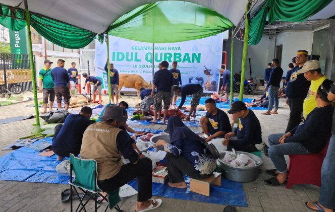 					Pegadaian Kanwil Makassar Qurban 107 Ekor Sapi dan Kambing 