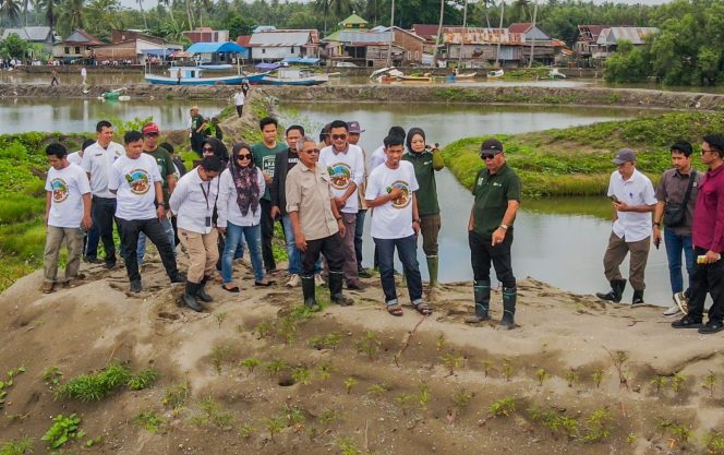 					Peringati Hari Lingkungan Hidup, Pemkab Bulukumba Tanam 5.000 Pohon Mangrove
