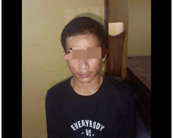 					Terduga Pelaku DTN alias DI. (Foto: Ist)