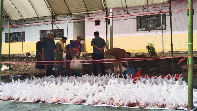 					Hewan Kurban di Mapolres Sinjai Siap Dibagikan ke Warga. (Dok. BeritaNews/ Syarif)