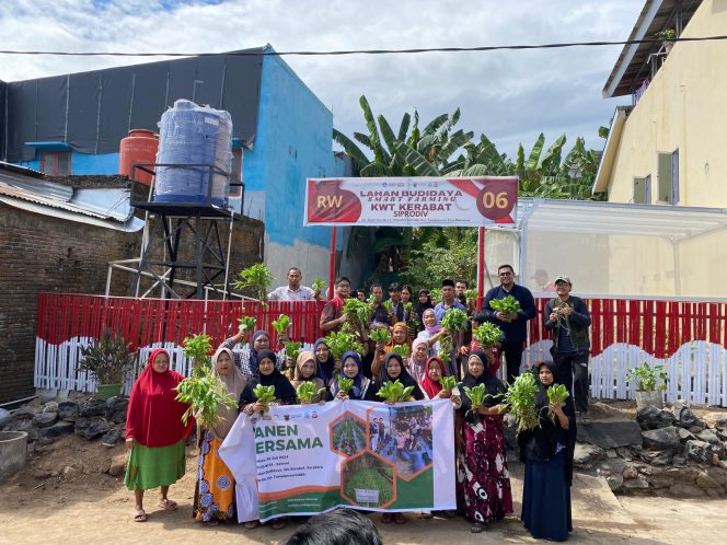 					Pertanian Modern di Perkotaan ala Mahatani Unhas Panen Sayur Bersama Masyarakat