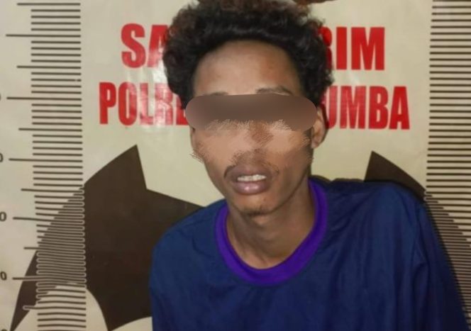 					Terduga Pelaku Pencurian Motor, AR Diamankan di Mapolres Bulukumba. (Dok. Ist/ Humas)