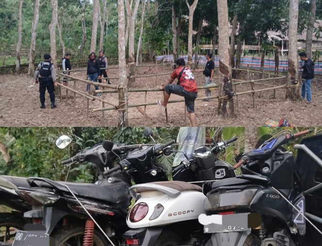 					Arena Sabung Ayam dan Puluhan Motor Diduga Milik Pelaku Judi Diamankan dari Lokasi. (Dok. Berita.News/ Kolase/ Humas)