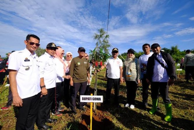 					Peringati Hari Lingkungan Hidup Sedunia, Pemkab Gowa Tanam 1.000 Pohon di Lahan Kritis
