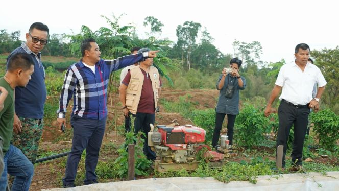 					Pj Gubernur Sulbar Bahtiar Baharuddin saat Berkunjung ke Kebun Bupati Bulukumba. (Dok. Ist)