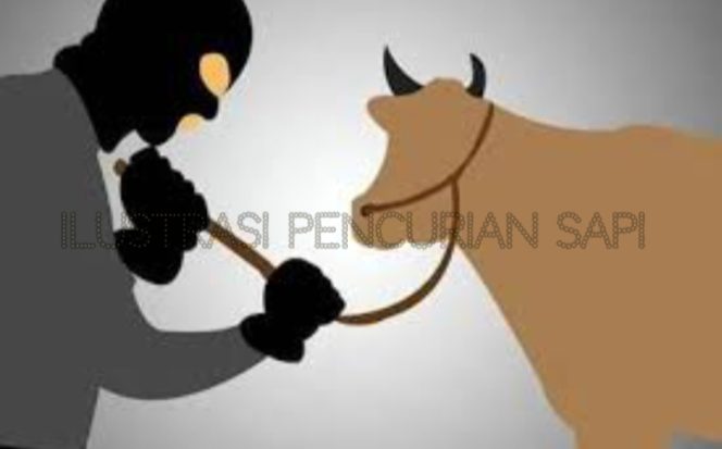 					Kadus di Buakkang Diduga Terlibat Dalam Kasus Pencurian Sapi, Korban: Heran dengan Polsek Bungaya Gowa