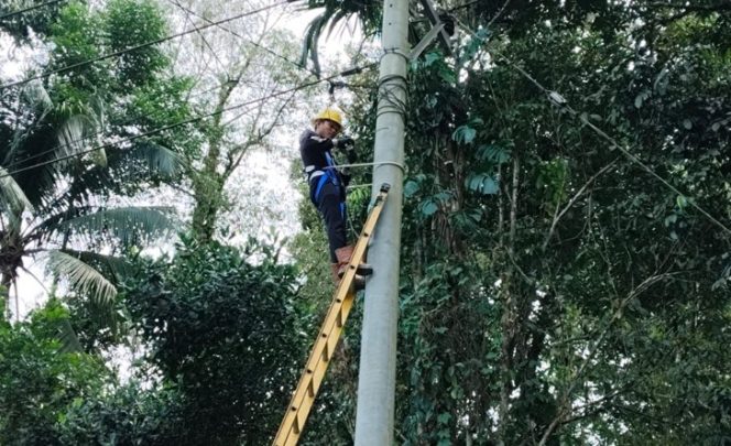 					PLN Icon Plus Beri Buat Pelanggannya Makin Nyaman