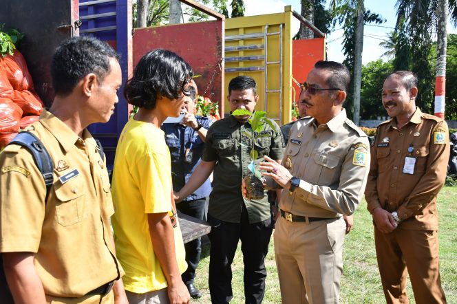 					Pj. Bupati Sinjai Serahkan Bantuan Bibit Kopi Arabika dari Kementrian