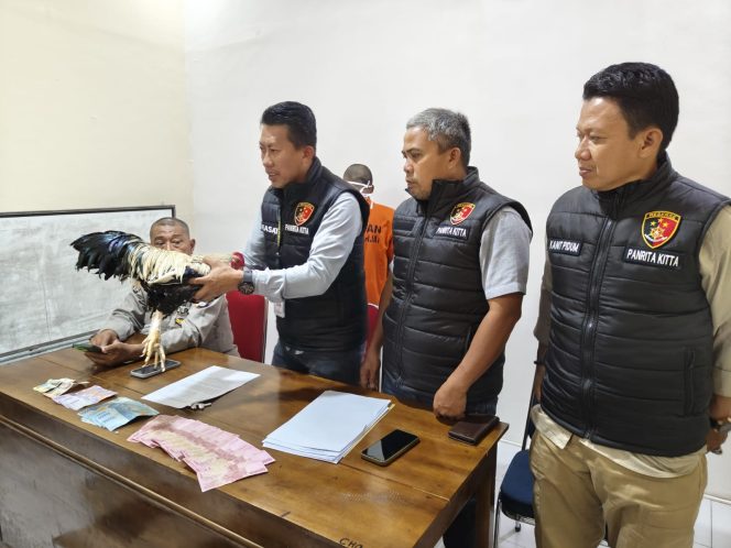 					Release Penetapan Tersangka Pelaku Judi Sabung Ayam di Ruang Reskrim Polres Sinjai. (dok. Ist)