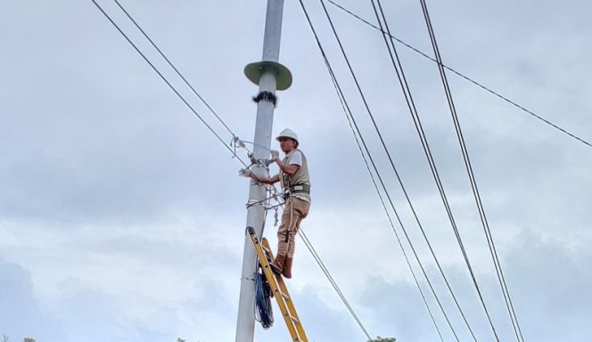 					Mengembangkan Inisiatif Berkelanjutan, PLN Icon Plus Tingkatkan Infrastruktur untuk Pelanggan Setianya