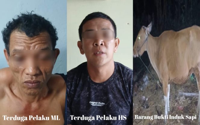 					Kedua Terduga Pelaku bersama Barang Bukti. (dok: ist/ humas)