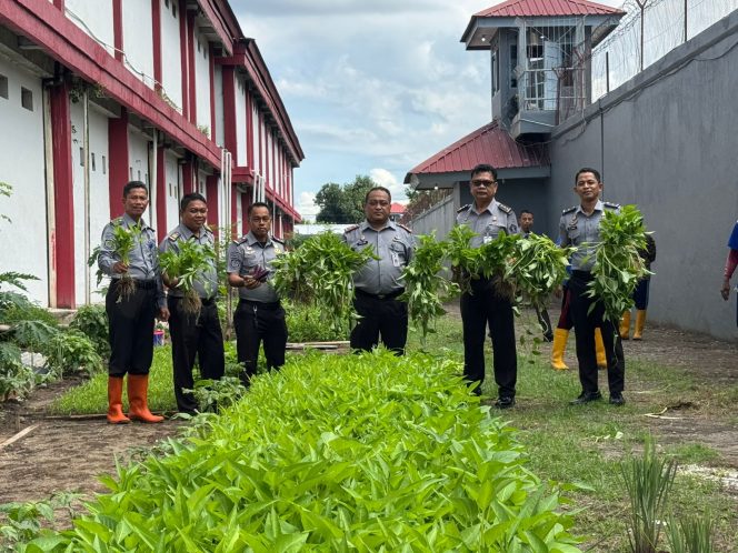 					Wujudkan Ketahanan Pangan, Lapas Makassar Panen Sayuran Holtikultura