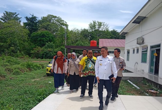 					Tim Supervisi Kementrian Kesehatan Republik Indonesia. (dok: ist)