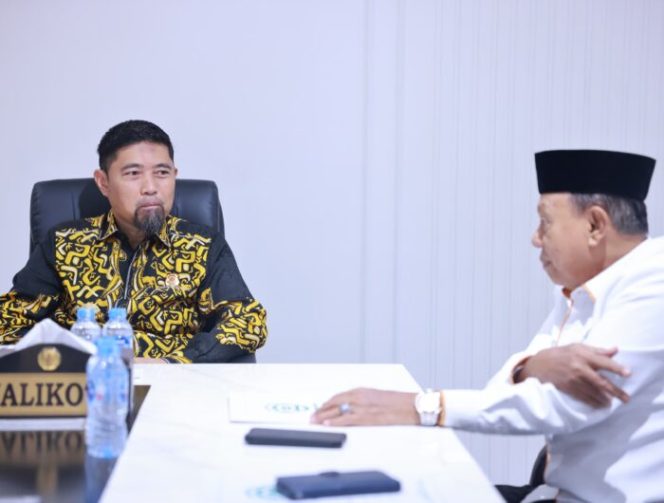 					Bertemu DMI, Pjs Arwin Azis Harap Masjid-masjid Bebas Biaya Parkir dan Terapkan Azan Serentak