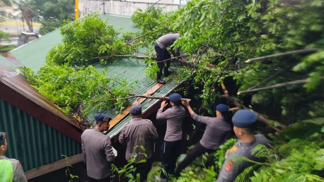 					Proses Evakuasi Pohon Tumbang oleh Personel Brimob Parepare. (Foto: Ist)