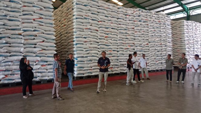 					Pengecekan Stok di gudang oleh Kepala Bulog Parepare. (Foto: Berita.News/ Wahyu)