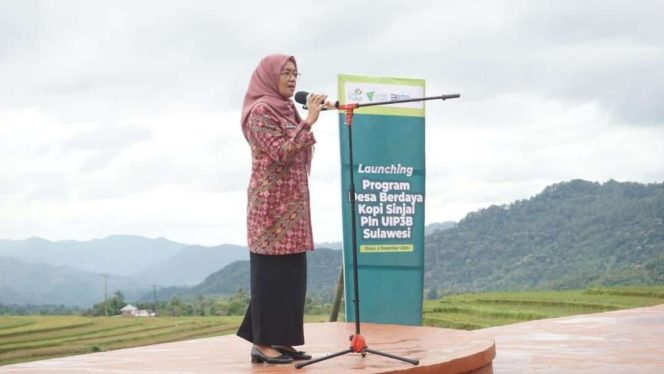 					Andi Tenri Rawe Baso, Staf Ahli Bupati Sinjai Bidang Ekonomi, Keuangan, dan Pembangunan Pemkab Sinjai. (Dok: Ist/ Humas)