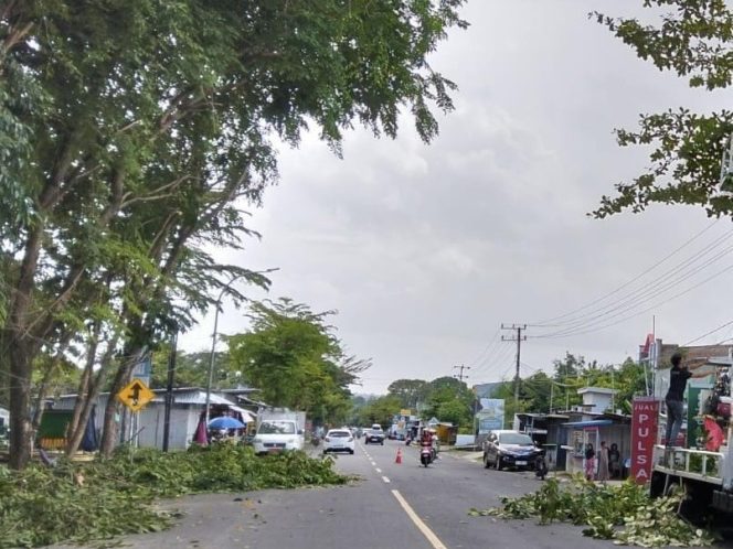 					Pemangkasan Pohon di Jl. Persatuan Raya yang Dijadikan Lintasan Drag Bike. (Foto: Ist/ Humas)