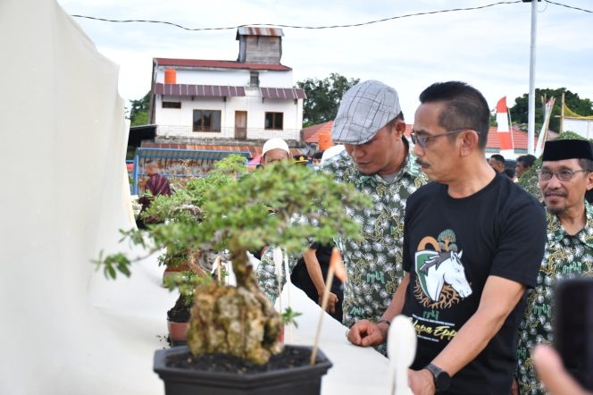 					Pj. Bupati Sinjai Kunjungi Satu Stand Pameran Bonsai. (Foto: Ist/ Humas)
