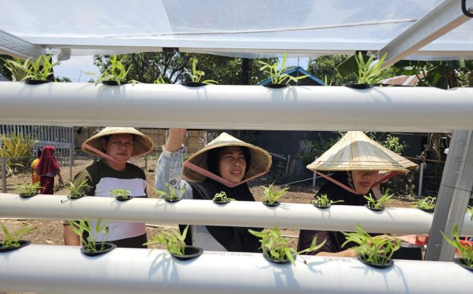 					Pertamina Patra Niaga Regional Sulawesi Dorong Ketahanan Pangan Masyarakat (dok.)