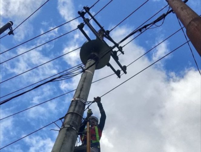 					Sentuhan Srikandi PLN Icon Plus Hijaukan Lingkungan MTS Al Hidayah