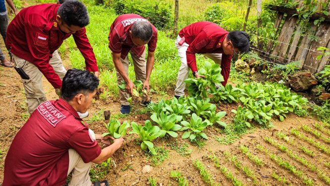 					Rutan Barru Wujudkan Kemandirian Warga Binaan Melalui Panen Ketahanan Pangan