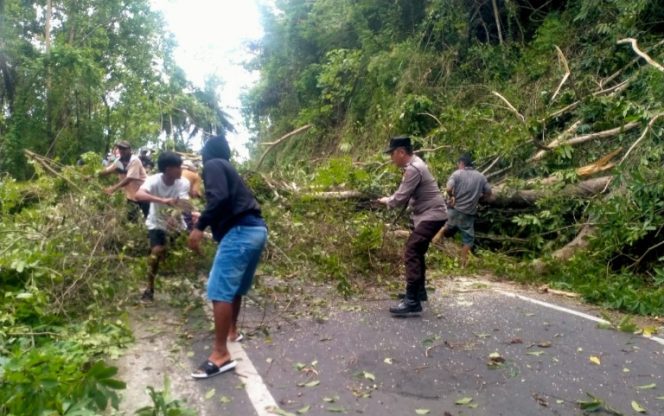 					Polisi Bersama Warga Evakuasi Pohon yang Tutup Badan Jalan di Sinjai Timur. (Foto: Ist/ Humas)