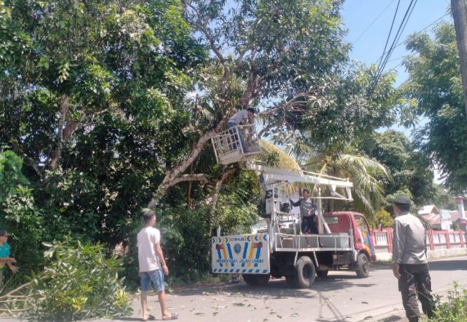 					Pemangkasan Pohon di Wilayah Sinjai Timur. (Foto: Ist/ Humas)