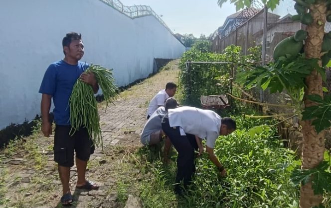 					Warga Binaan Lapas Parepare Lakukan Penanaman Tanaman Pangan dan Budidaya Ikan Air Tawar. (Foto: Ist/ Humas)