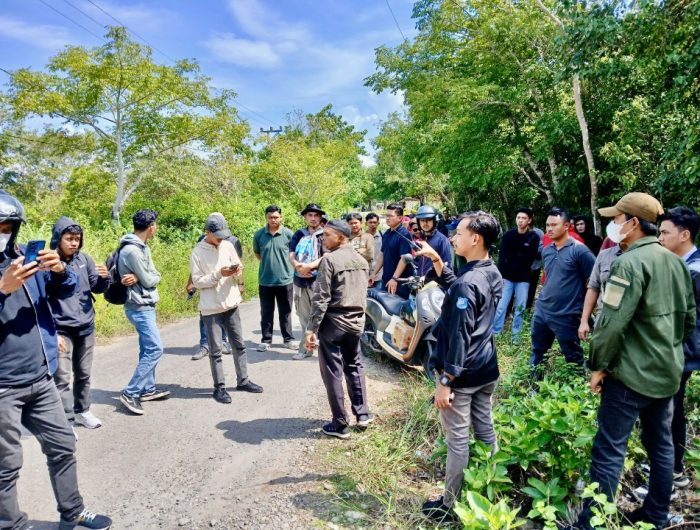 pamhut