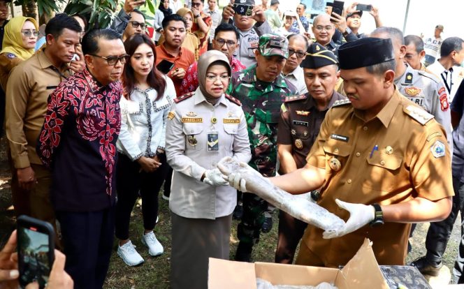 					Gurita Beku Bantaeng Tembus Ekspor Perdana Pasar Mexico