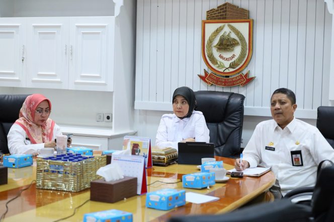 					Wakil Walikota Makassar Aliyah Mustika Ilham (dok.)