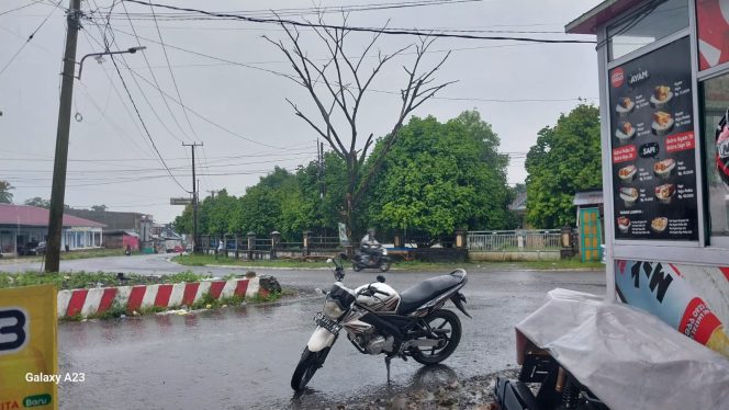 					Salah Satu Pohon yang Membahayakan Warga dan Pengendara di Jalan Poros Sinjai - Bulukumba. (Foto: Pribadi)