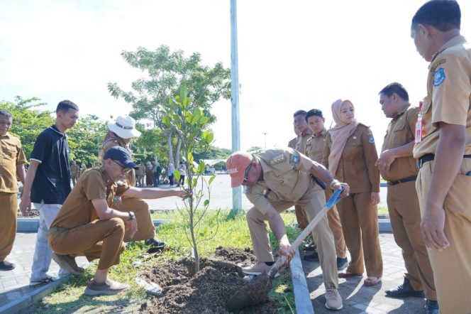 					Bulukumba Genjot Penanaman Pohon Produktif di Ruang Terbuka Hijau