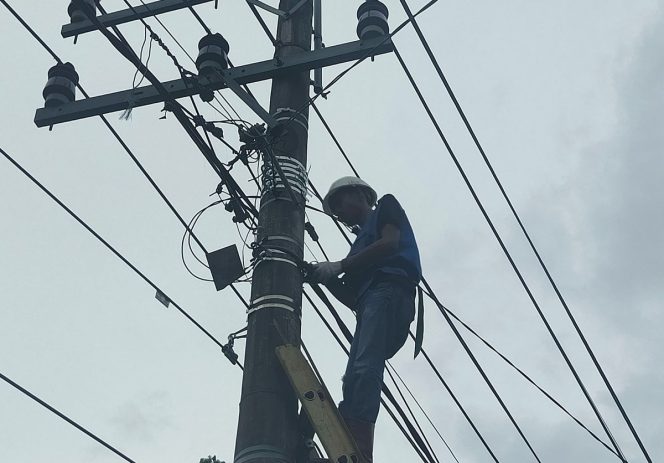 					Kualitas Layanan PLN Icon Plus Dimulai dari Jaringan yang Terjaga