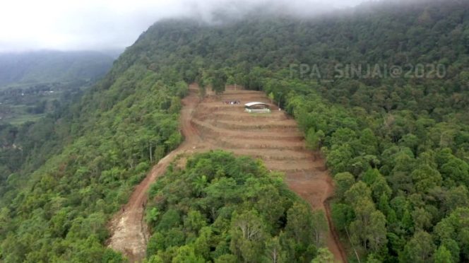 					Kawasan Taman Hutan Rakyat (Tahura) Abdul Latief, Ma'ra Sinjai Borong. (Foto: Ist/ FPA Sinjai)