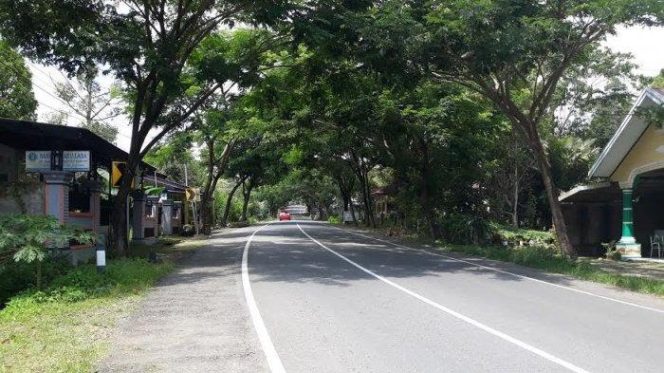 					Jalan Poros Nasional Sinjai-Bulukumba. (Foto: Pribadi)