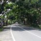 tugu-batas