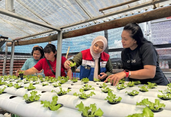 					Pertamina Patra Niaga IT Bitung Dukung Pemberdayaan IRT Melalui Hidroponik