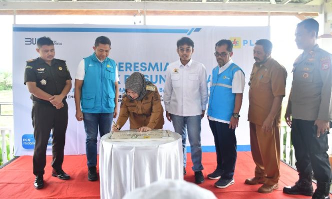 					Peresmian program elektrifikasi ini dilakukan langsung oleh Bupati Sinjai, Hj. Ratnawati Arif. (Foto: Istimewa)