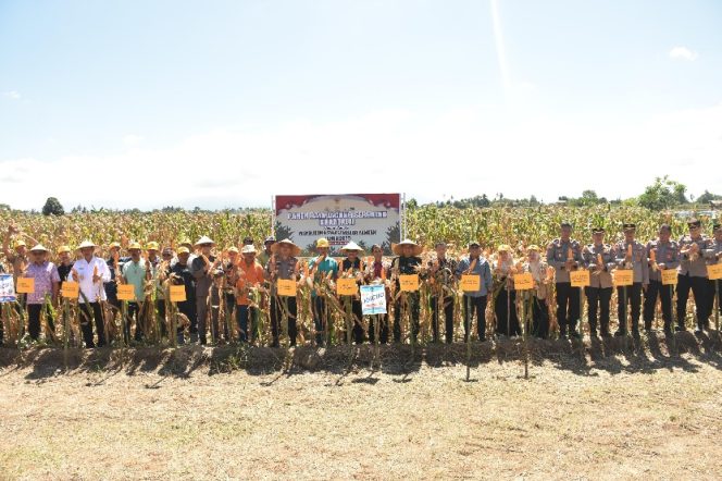 					Kapolres Bulukumba Hadiri Panen Raya Jagung Serentak Dukung Swasembada Pangan Nasional 2025