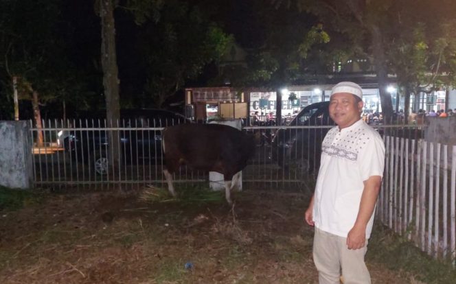 					Pimpinan Cabang BRI Sinjai dan Salah Satu Sapi Kurba yang Akan Disembelih Besok. (Foto: Istimewa)