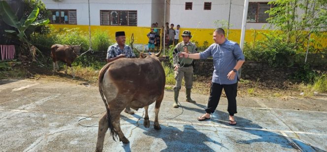 					Kapolres Sinjai Meyerahkan Sapi Kurban untum Disembelih ke Panitia Kurban. (Foto: Ist/ Humas)