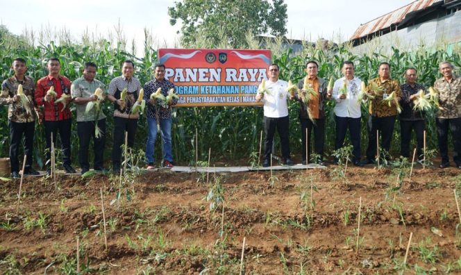 					Lapas Makassar Panen Ribuan Jagung, Dukung Ketahanan Pangan Nasional