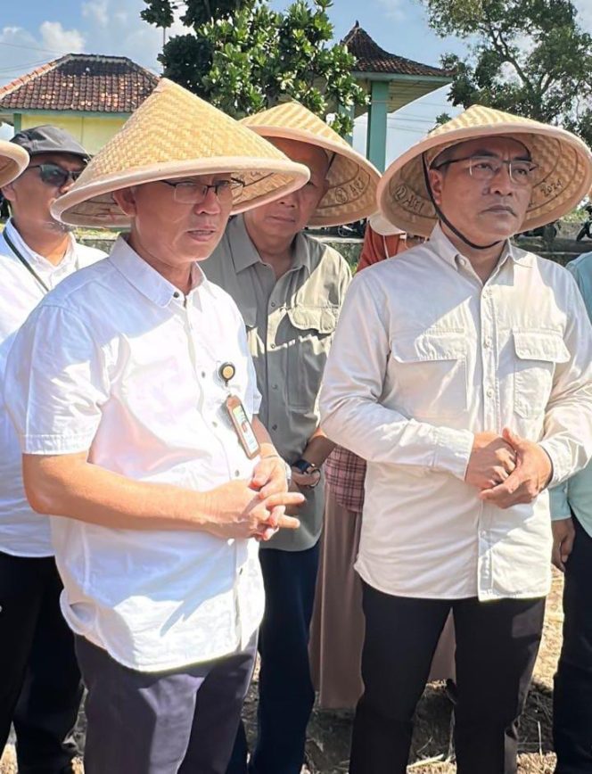 					Program Swasembada Pangan Nasional Lewat Berbagai Inisiatif Pertanian