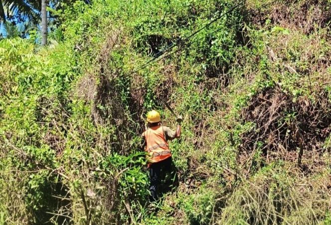 					Koneksi Tanpa Putus, Berkat Pemeliharaan yang Terstruktur oleh PLN Icon Plus SIBT